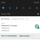 WhatsApp вводит новую опцию для сообщений